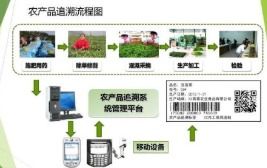 农产品质量追溯管理系统软件设计开发解决方案